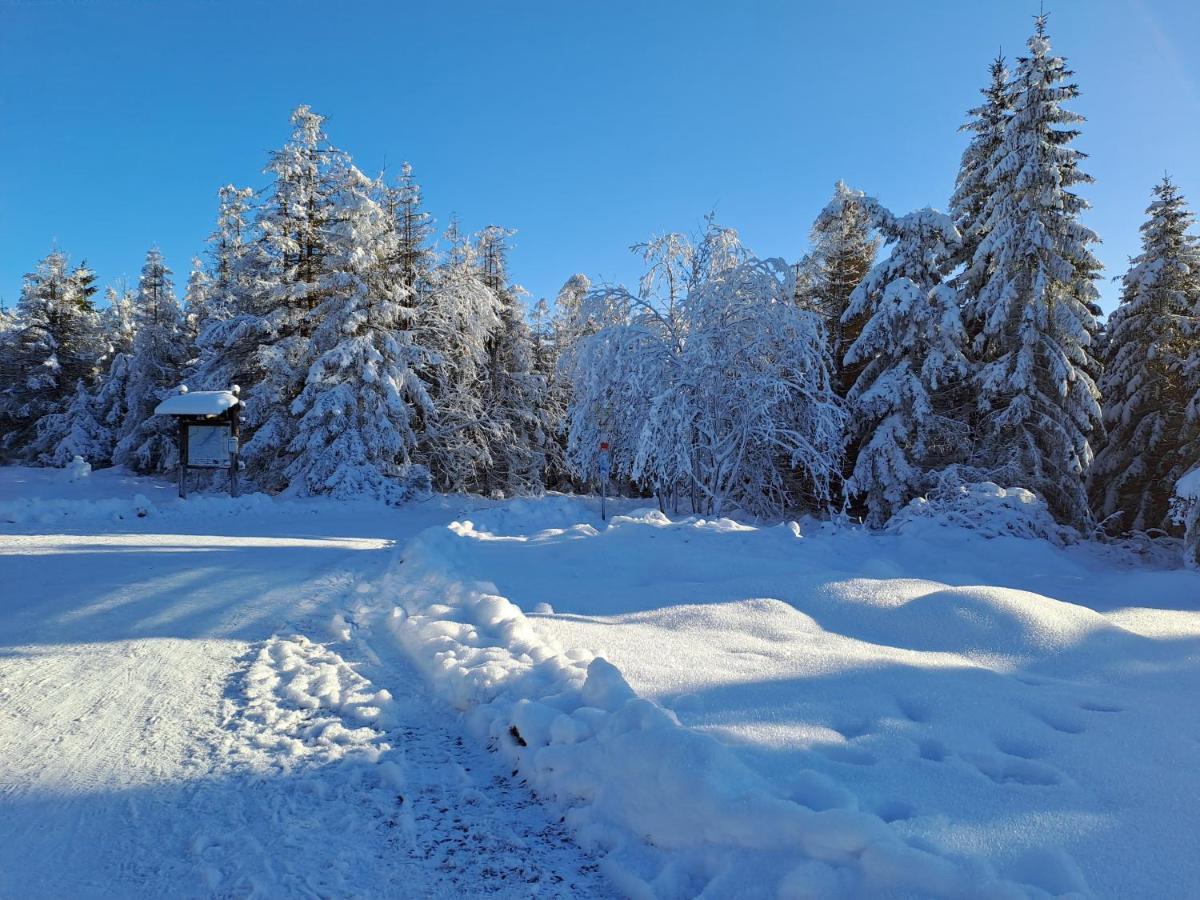 Wohnen Wie Bei Freunden Braunlage Εξωτερικό φωτογραφία